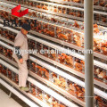 Gaiolas de camada de galinha de boa qualidade para venda na Namíbia